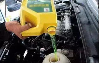 景德鎮(zhèn)廣甸大眾